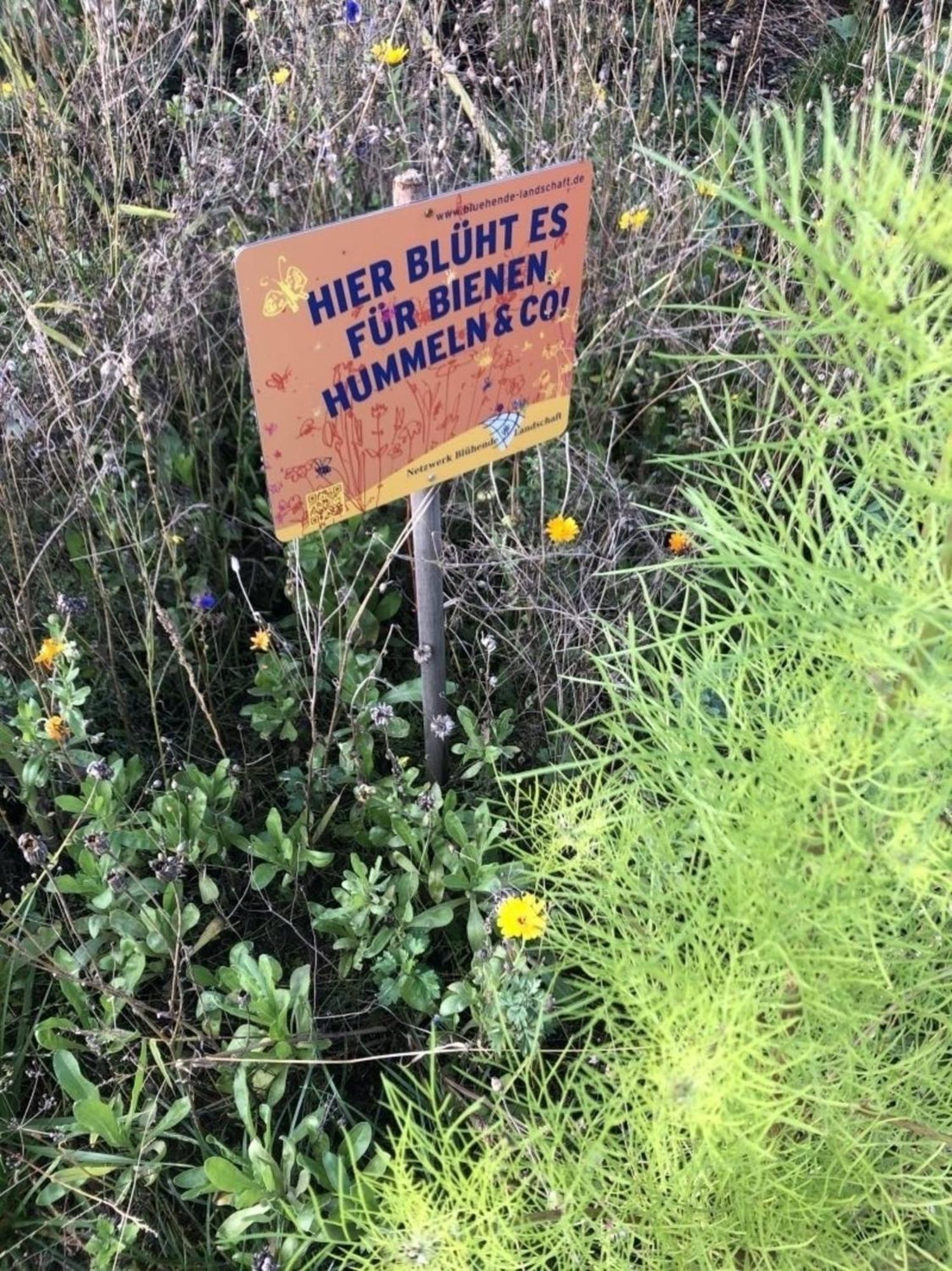Meeresperle 2 Leuchtturm Klutz Kültér fotó